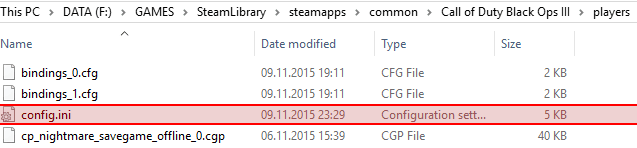 COD Config.ini anpassen